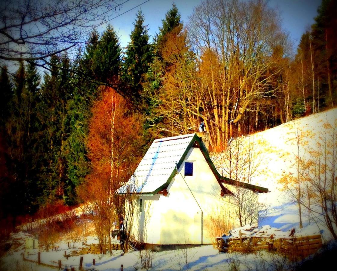Dziewięćsił-domek w górach Duszniki Zdrój Exterior foto